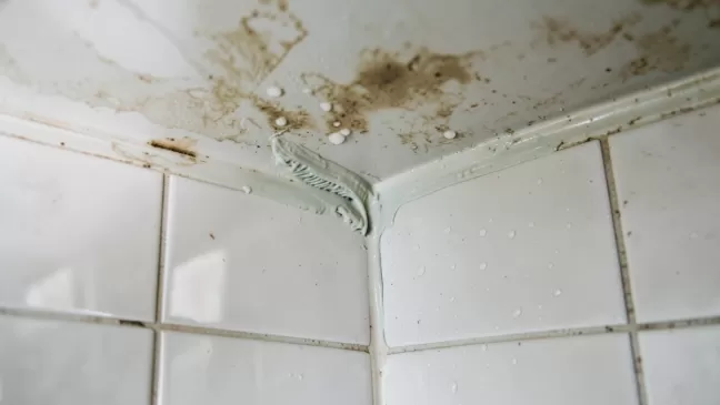 Hydroizolacja na stare płytki w łazience
