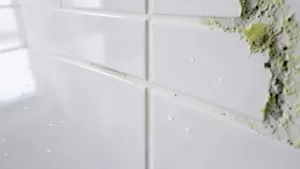 Najlepsza fuga do łazienki