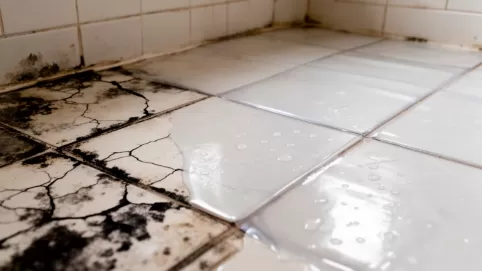 Co położyć na stare płytki podłogowe w łazienkach