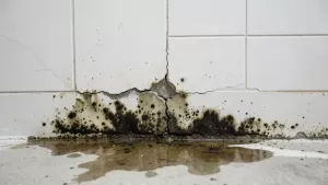 hydroizolacja łazienki