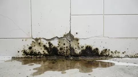 hydroizolacja łazienki