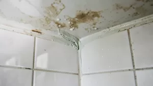 Hydroizolacja na stare płytki w łazience