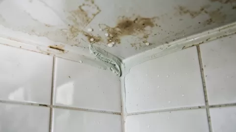 Hydroizolacja na stare płytki w łazience