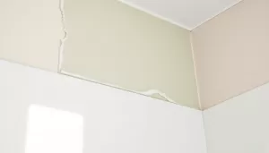 Jaka płyta karton gips do łazienki